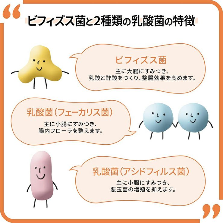 大正製薬 新ビオフェルミンS錠 48錠