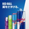 レッドブル エナジードリンク グリーンエディション 250ml 