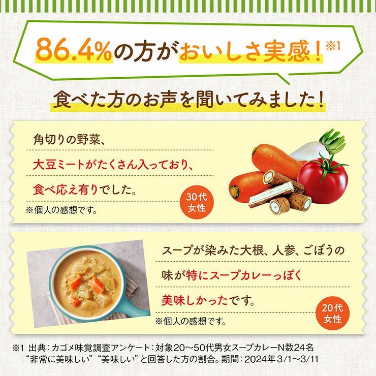 カゴメ ごろっと根菜のスープカレー 250g 10袋