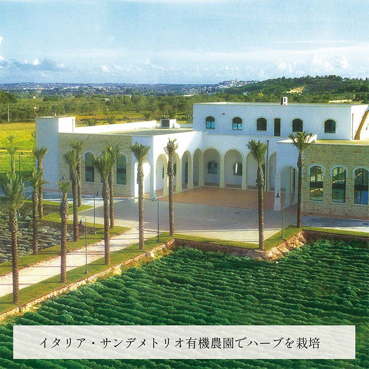  nash オーガニック ハーブティー ルイボス 350ｍl 48本 