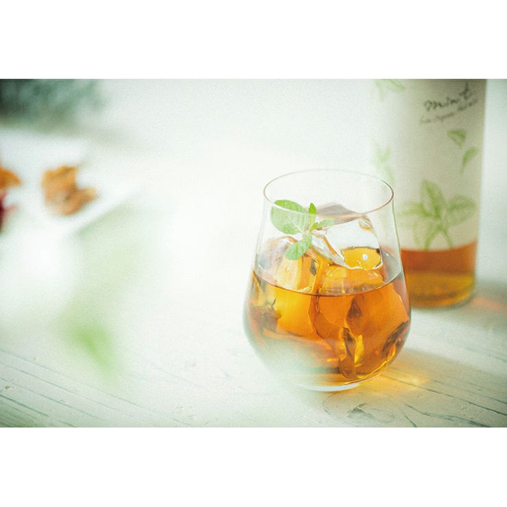 ハーブ スピリッツ ギフトセット 500ml 2本 