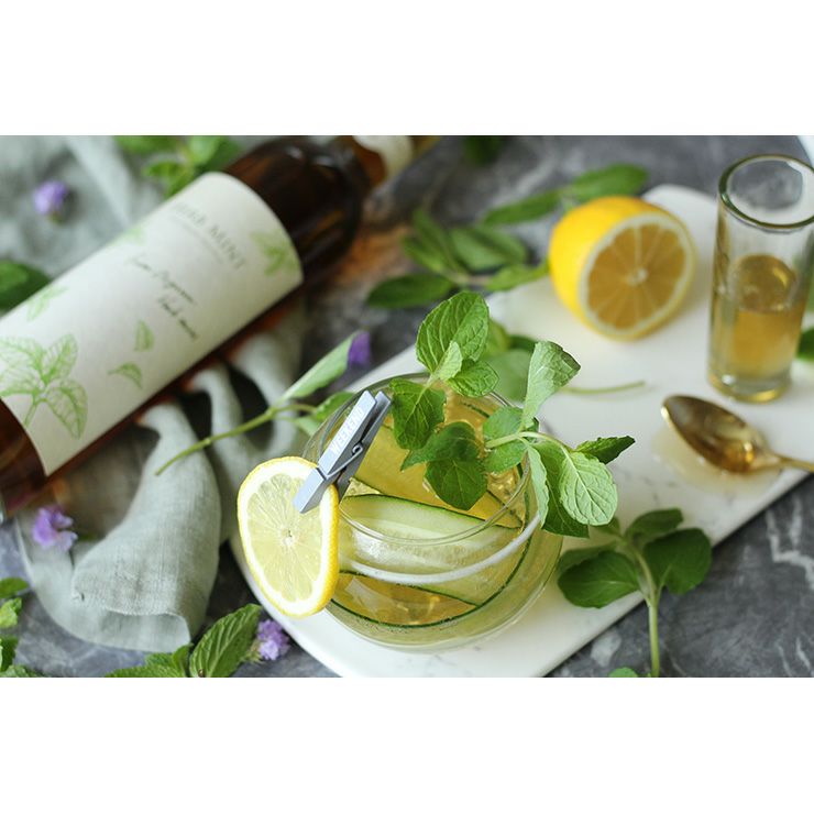 ハーブ スピリッツ ギフトセット 500ml 2本 