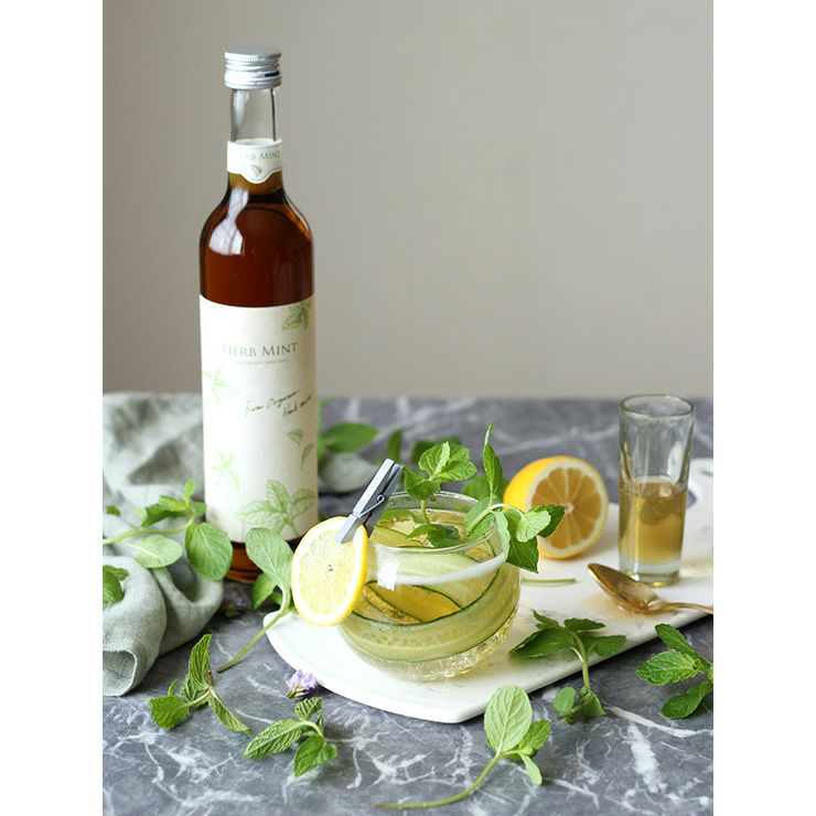 ハーブ スピリッツ ギフトセット 500ml 2本 