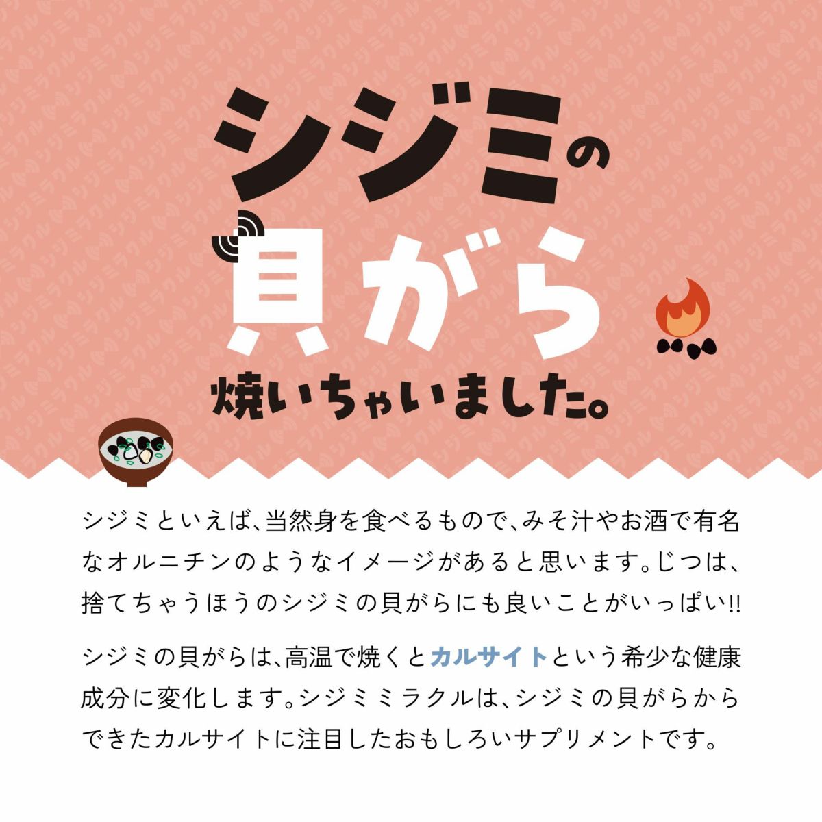 あしたのためのサプリ シジミラクル 10日分（20粒入り）10個入り