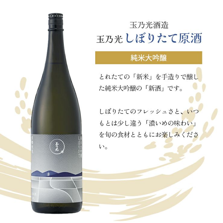 日本酒ヌーボー 新酒 飲み比べセット 720ml 3本 3種 2025 限定