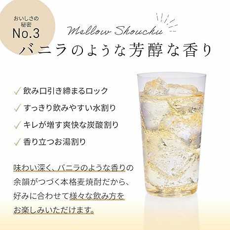濱田酒造 隠し蔵 25度 パウチ 1000ml 3本