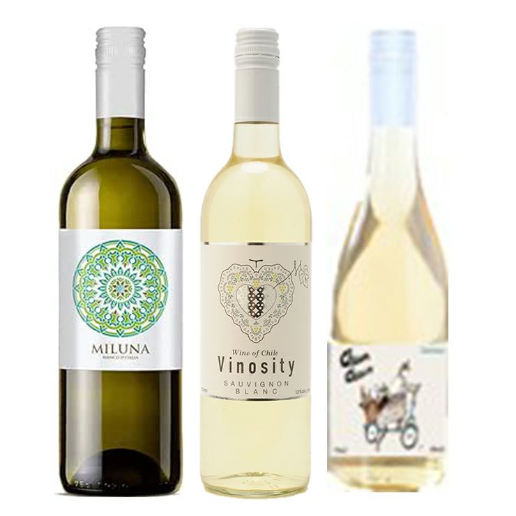  赤・白・スパークリング ワイン 12本セット