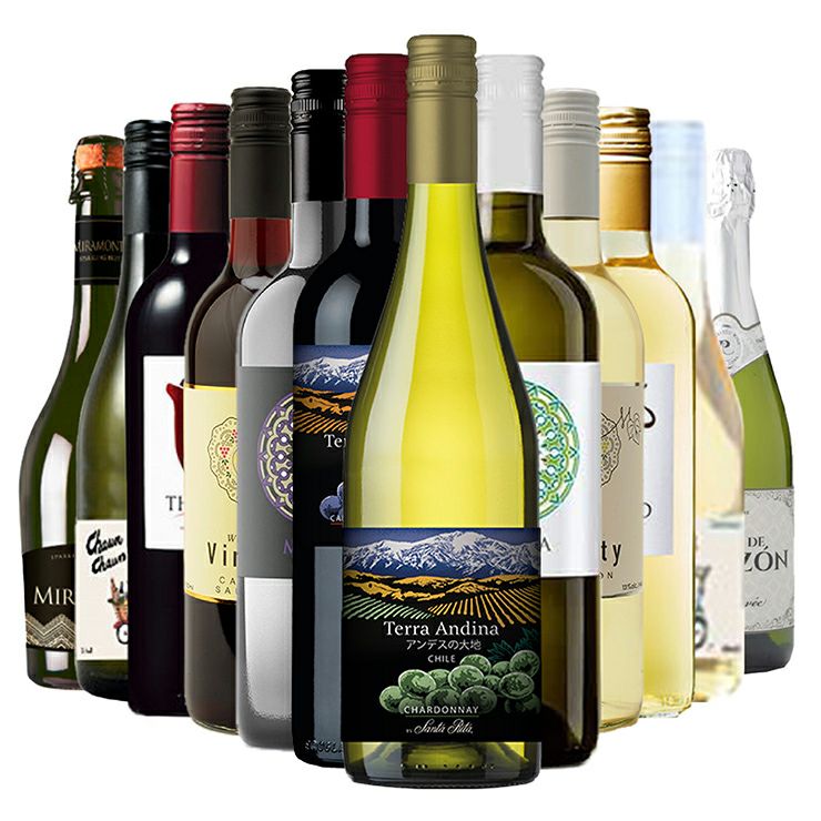  赤・白・スパークリング ワイン 12本セット