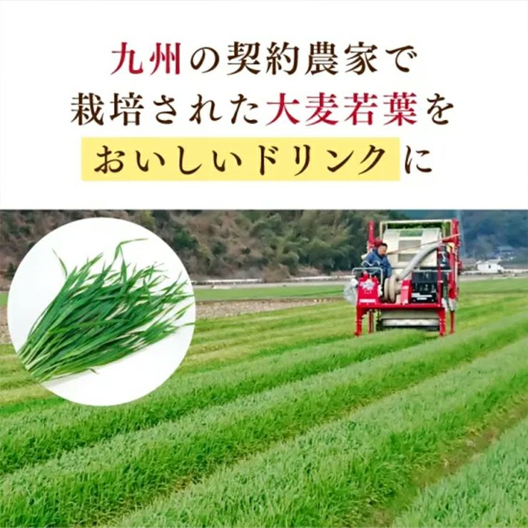 新日配薬品 九州GreenFarm すっきり青汁 160g 15本 1ケース 缶 青汁