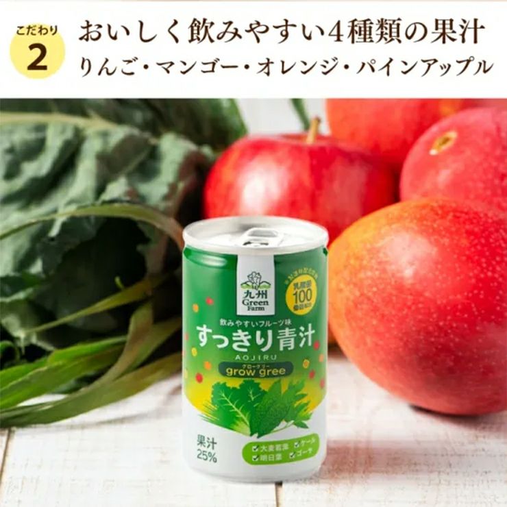 新日配薬品 九州GreenFarm すっきり青汁 160g 15本 1ケース 缶 青汁