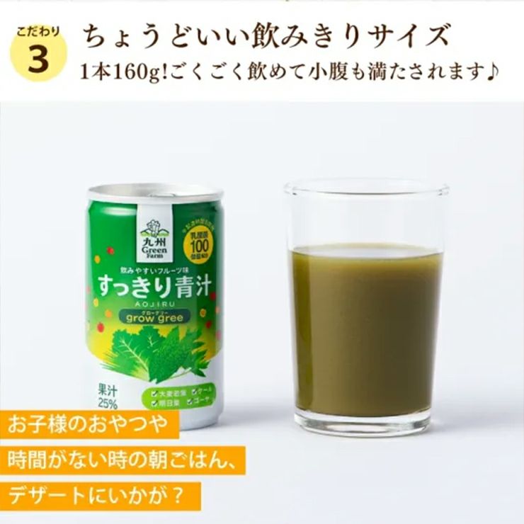 新日配薬品 九州GreenFarm すっきり青汁 160g 15本 1ケース 缶 青汁
