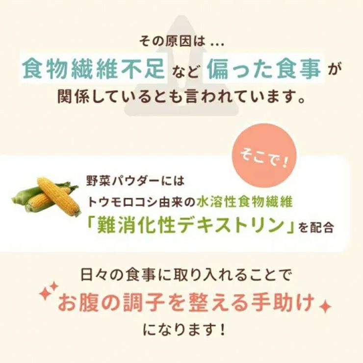 新日配薬品 野菜パウダー 3g 10包 10箱 食物繊維 九州産 野菜 離乳食 介護食