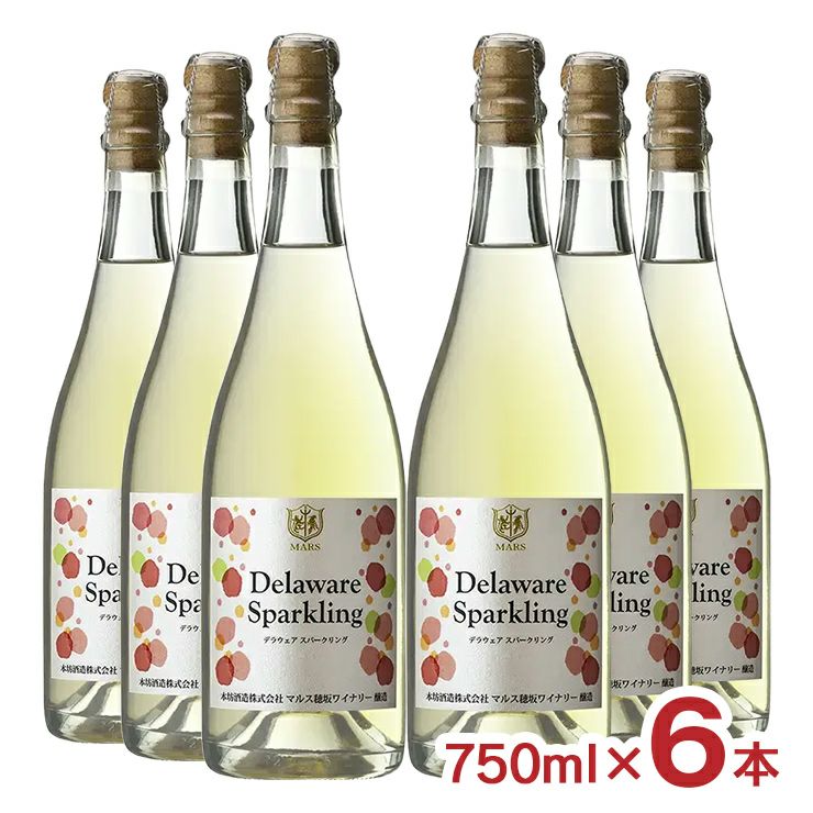 本坊酒造 甲州 デラウェア スパークリング 750ml 6本