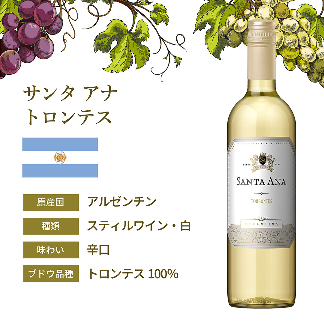 わけありワインセット