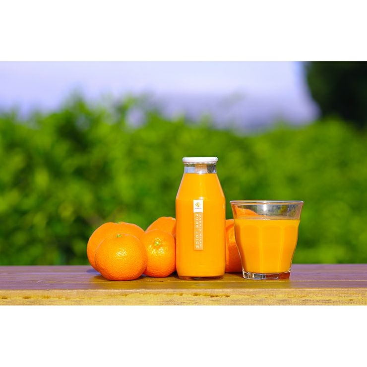 日下農園 日下みかん ストレートジュース 瓶 180ml 6本 化粧箱入