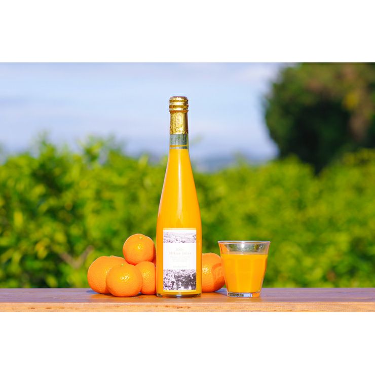 日下農園 日下みかん ストレートジュース 瓶500ml 1本 化粧箱入