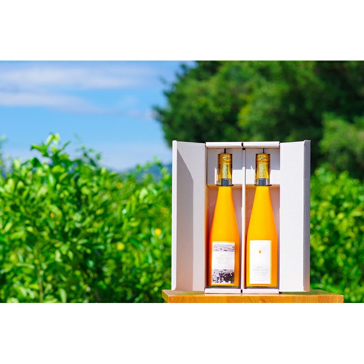 日下農園 日下みかん ストレートジュース 瓶500ml 2本 化粧箱入