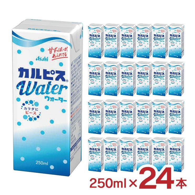 カルピスウォーター(R) 紙パック 250ml 24本 カルピス 乳酸菌