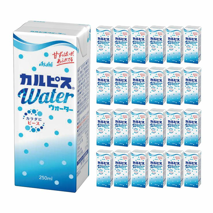 カルピスウォーター(R) 紙パック 250ml 24本 カルピス 乳酸菌