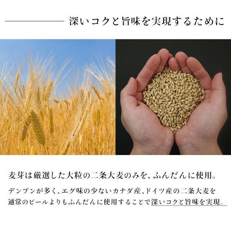 軽井沢ブルワリー THE軽井沢ビール 白ビール (ヴァイス) 350ml 6本 