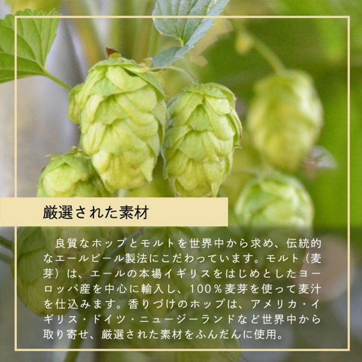 ヤッホーブルーイング よなよなエール 350ml 6本 長野 IPA