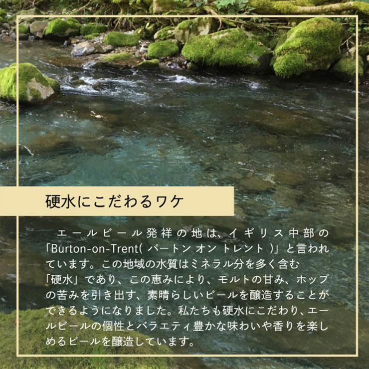 ヤッホーブルーイング よなよなエール 350ml 6本 長野 IPA