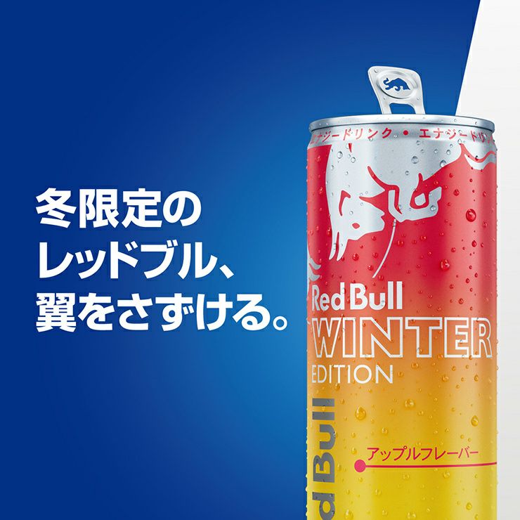 レッドブル エナジードリンク ウィンターエディション 250ml 24本