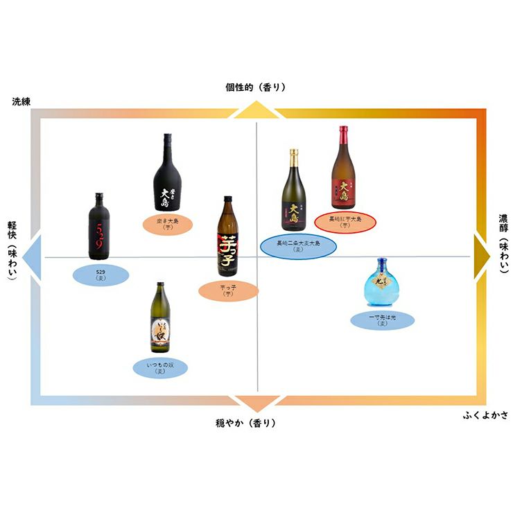 大島酒造 磨き大島＆529 焼酎 飲み比べ ギフトセット720ml 2本 芋焼酎 麦焼酎