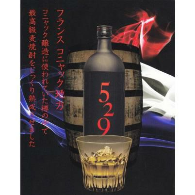 大島酒造 磨き大島＆529 焼酎 飲み比べ ギフトセット720ml 2本 芋焼酎 麦焼酎