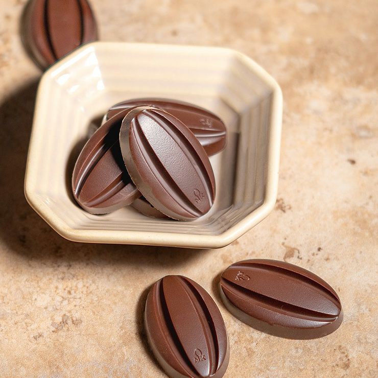 ORGANIC JOY CHOCOLATE ミルク 60g 5袋 日新化工 JAS