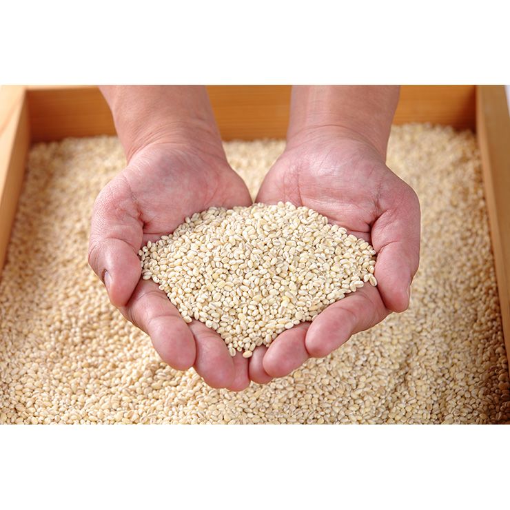 三和酒類 いいちこ スペシャル 720ml 1本 