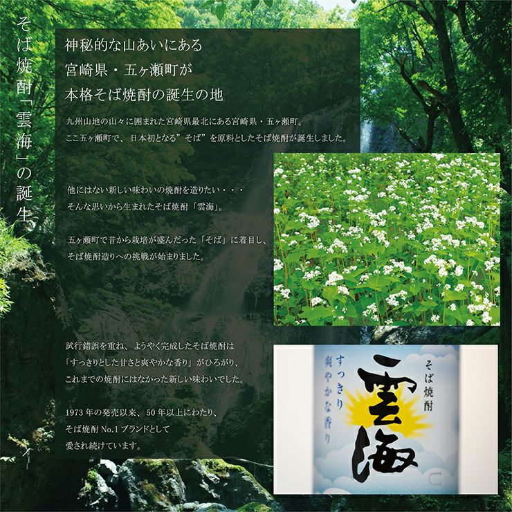 雲海酒造 そば雲海 12度 200ml 25本