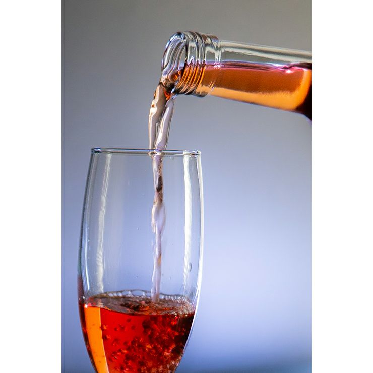 大内安男商店 梅酒 春紅麗ブランデーベース 500ml 1本