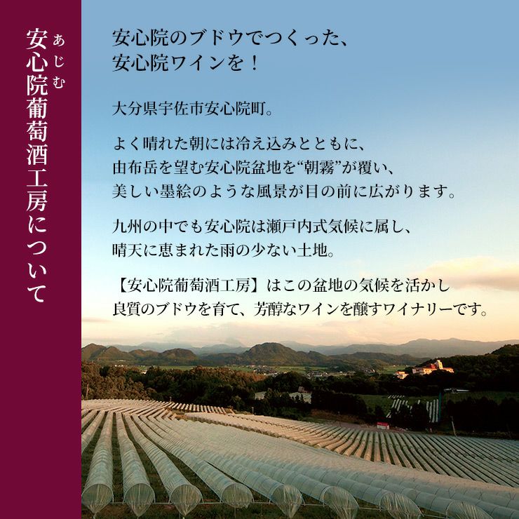 ワイン 三和酒類 安心院 スパークリングワイン 750ml 1本