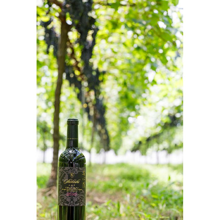 ワイン 三和酒類 安心院 スパークリングワイン 750ml 3本 
