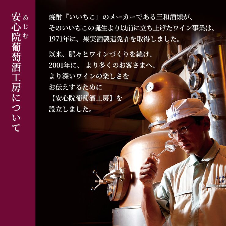 ワイン 三和酒類 安心院ワイン ビジュノワール