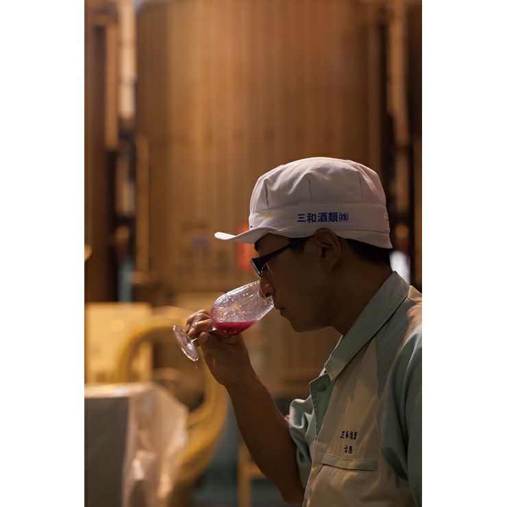 ワイン 三和酒類 安心院ワイン ビジュノワール