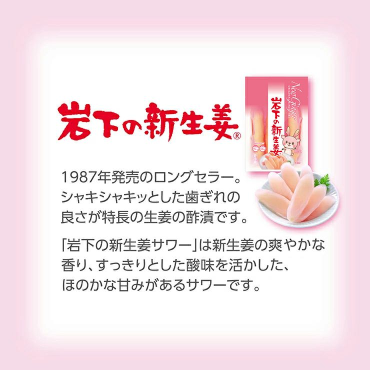 岩下食品 岩下の新生姜サワー 缶 350ml